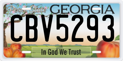 GA license plate CBV5293