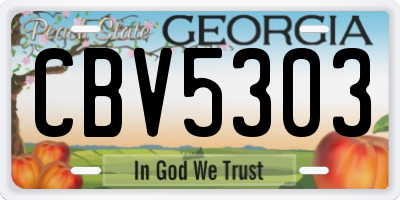 GA license plate CBV5303