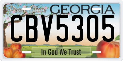 GA license plate CBV5305