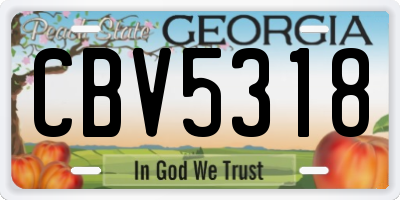 GA license plate CBV5318