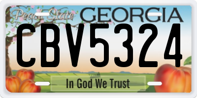 GA license plate CBV5324