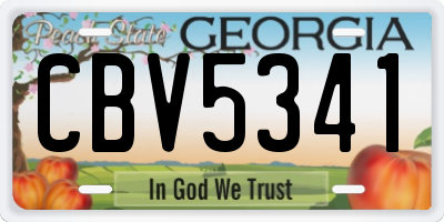 GA license plate CBV5341
