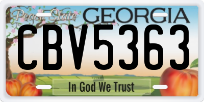 GA license plate CBV5363