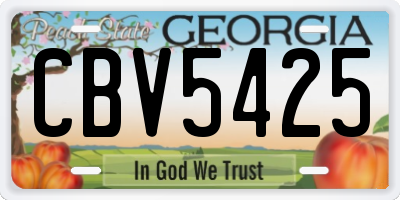 GA license plate CBV5425