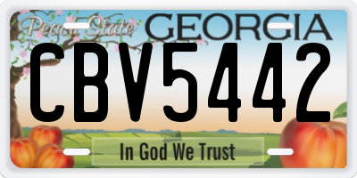 GA license plate CBV5442