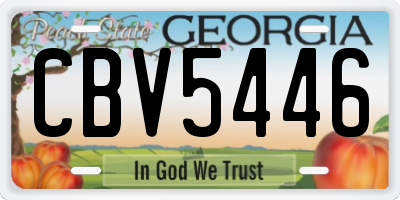 GA license plate CBV5446