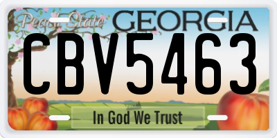 GA license plate CBV5463