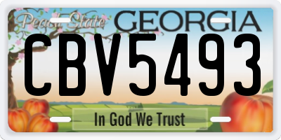 GA license plate CBV5493