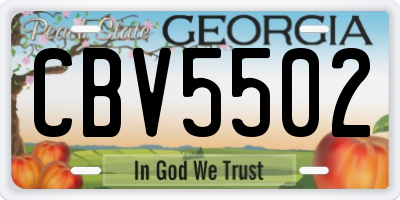 GA license plate CBV5502
