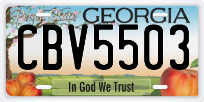 GA license plate CBV5503