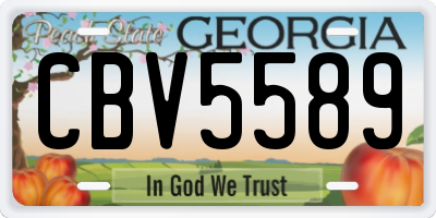 GA license plate CBV5589