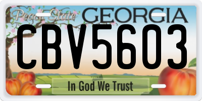 GA license plate CBV5603