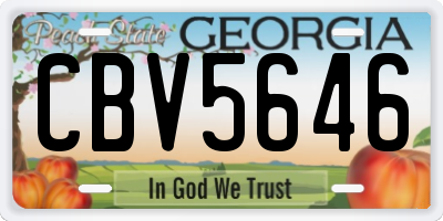 GA license plate CBV5646