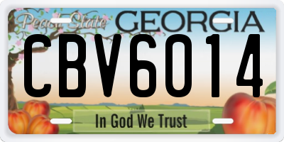 GA license plate CBV6014
