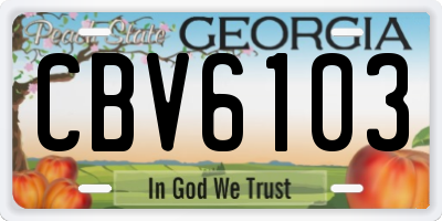 GA license plate CBV6103