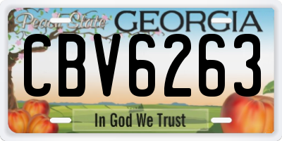 GA license plate CBV6263