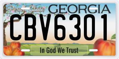 GA license plate CBV6301