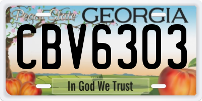 GA license plate CBV6303