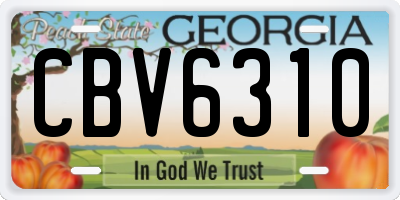 GA license plate CBV6310