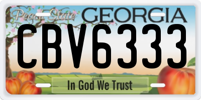 GA license plate CBV6333
