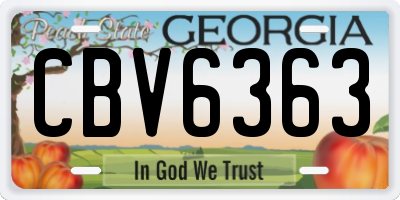 GA license plate CBV6363