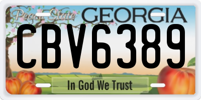 GA license plate CBV6389