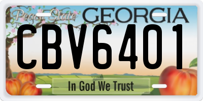 GA license plate CBV6401