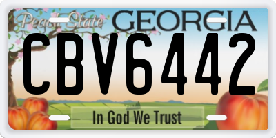 GA license plate CBV6442