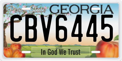 GA license plate CBV6445