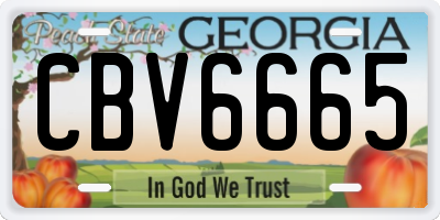 GA license plate CBV6665