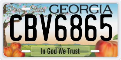 GA license plate CBV6865