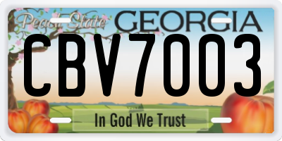 GA license plate CBV7003