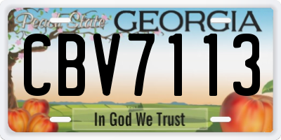 GA license plate CBV7113