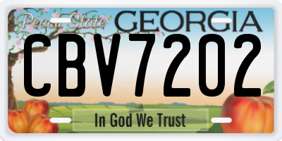 GA license plate CBV7202