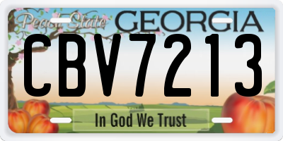 GA license plate CBV7213