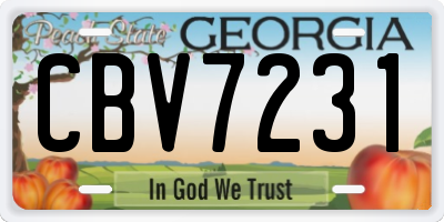 GA license plate CBV7231