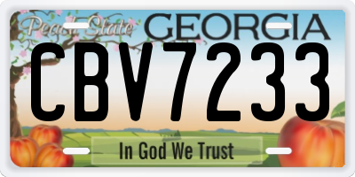 GA license plate CBV7233