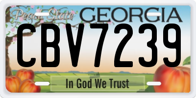 GA license plate CBV7239