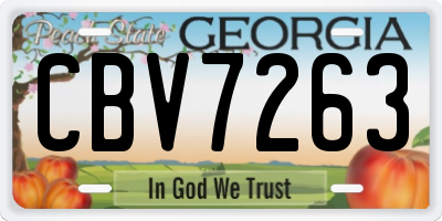 GA license plate CBV7263