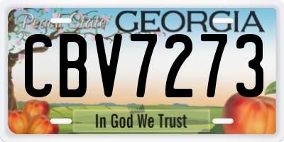 GA license plate CBV7273