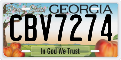 GA license plate CBV7274