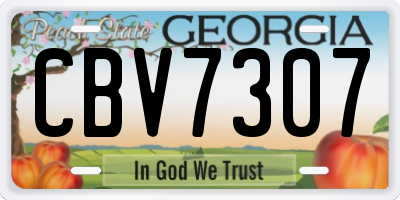 GA license plate CBV7307