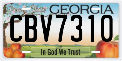 GA license plate CBV7310