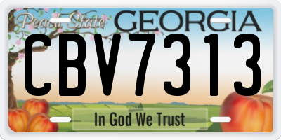 GA license plate CBV7313