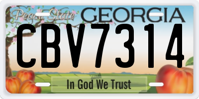 GA license plate CBV7314