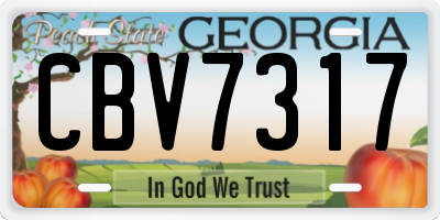GA license plate CBV7317