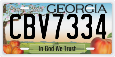 GA license plate CBV7334