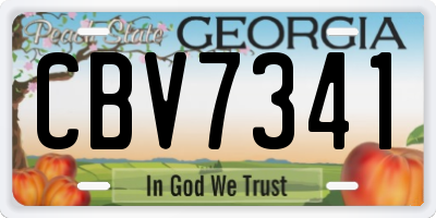 GA license plate CBV7341