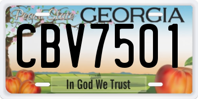 GA license plate CBV7501