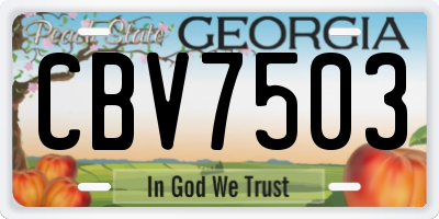GA license plate CBV7503